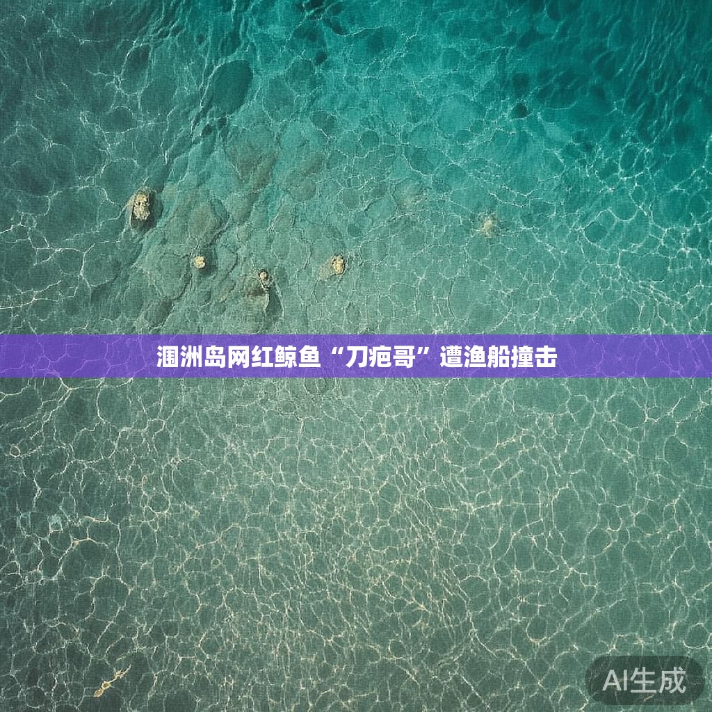 涠洲岛网红鲸鱼“刀疤哥”遭渔船撞击